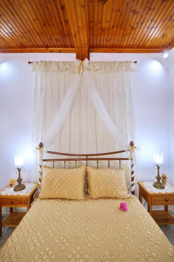 Vasia'S Small Villa Skopelos Extérieur photo